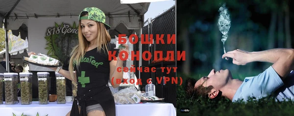мяу мяу мука Чекалин