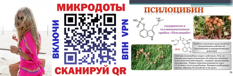 Галлюциногенные грибы Psilocybine cubensis  Купить закладки  Новая Ладога 